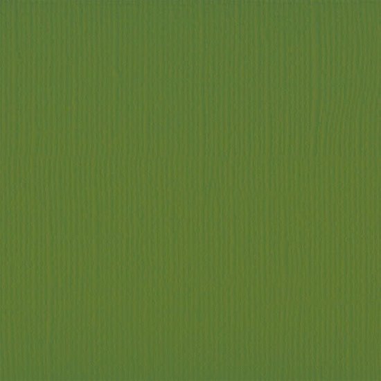Florence Florence Cardstock Olive Texture 12x12'' 216g