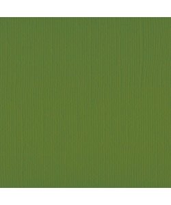 Florence Cardstock Pine Texture 12x12'' 216g
