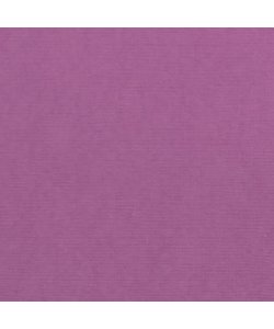 Florence Cardstock Plum Texture 12x12'' 216g