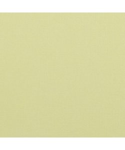 Florence Cardstock Pudding Texture 12x12'' 216g