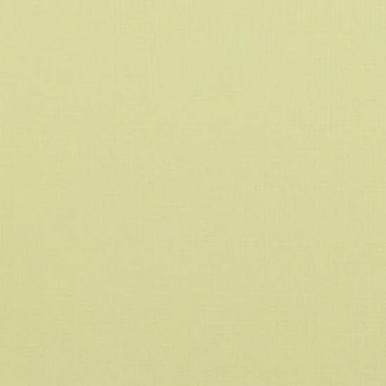 Florence Florence Cardstock Pudding Texture 12x12'' 216g
