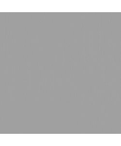 Florence Cardstock Tin Texture 12x12'' 216g