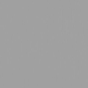 Florence Cardstock Tin Texture 12x12'' 216g