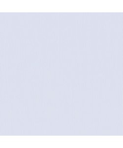 Florence Cardstock Air Texture A4 216g