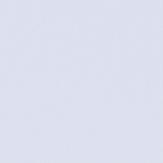 Florence Florence Cardstock Air Texture A4 216g