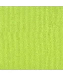 Florence Cardstock Lime Texture A4 216g