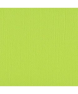 Florence Cardstock Lime Texture A4 216g