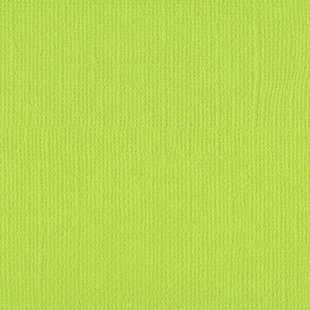 Florence Cardstock Lime Texture A4 216g