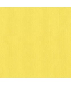 Florence Cardstock Lemon Yellow Texture A4 216g