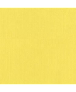 Florence Cardstock Lemon Yellow Texture A4 216g