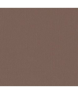 Florence Cardstock Bear Texture A4 216g