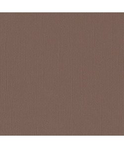 Florence Cardstock Bear Texture A4 216g