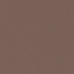 Florence Cardstock Bear Texture A4 216g