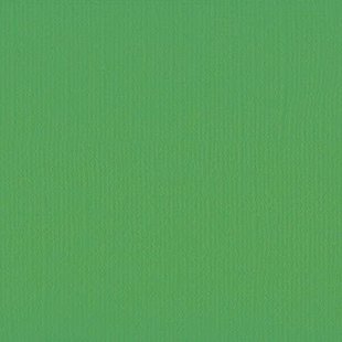 Florence Cardstock Holly Texture A4 216g