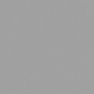 Florence Cardstock Tin Texture A4 216g