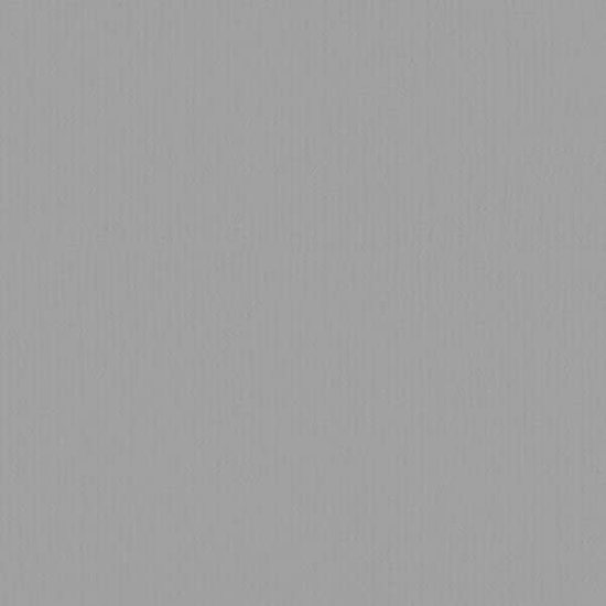 Florence Florence Cardstock Tin Texture A4 216g
