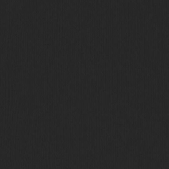 Florence Florence Cardstock Black Texture A4 216g