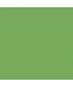 Florence Cardstock Frog Texture A4 216g
