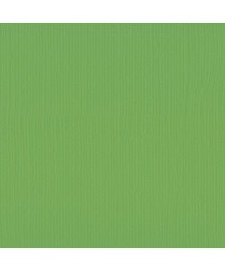 Florence Cardstock Frog Texture A4 216g