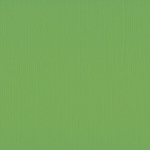 Florence Cardstock Frog Texture A4 216g