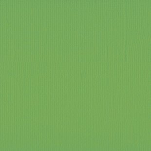 Florence Cardstock Frog Texture A4 216g
