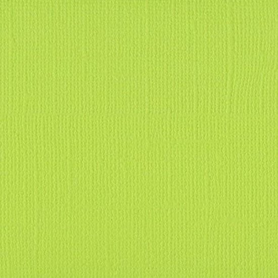 Florence Florence Cardstock Lime Texture 12x12'' 216g