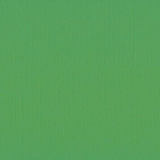 Florence Florence Cardstock Holly Texture 12x12'' 216g