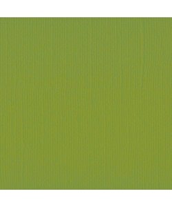 Florence Cardstock Fern Texture 12x12'' 216g