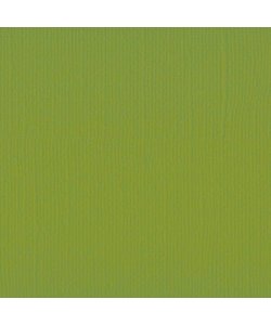 Florence Cardstock Fern Texture 12x12'' 216g