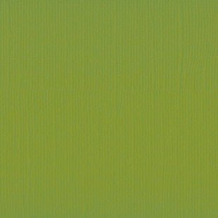 Florence Cardstock Fern Texture 12x12'' 216g