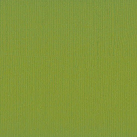 Florence Florence Cardstock Fern Texture 12x12'' 216g