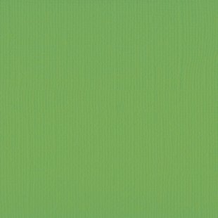 Florence Cardstock Frog Texture 12x12'' 216g