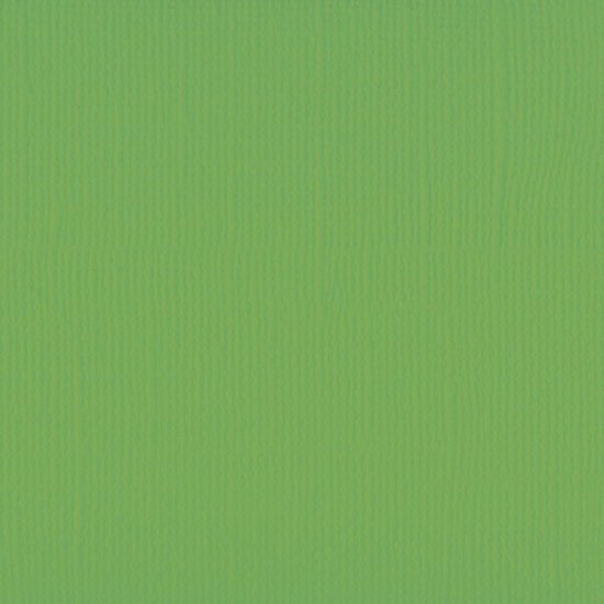 Florence Florence Cardstock Frog Texture 12x12'' 216g