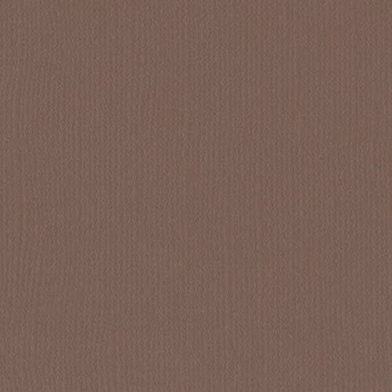 Florence Florence Cardstock Bear Texture 12x12'' 216g