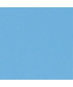 Florence Cardstock River Texture 12x12'' 216g