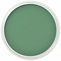 Panpastel PanPastel Permanent Green Shade