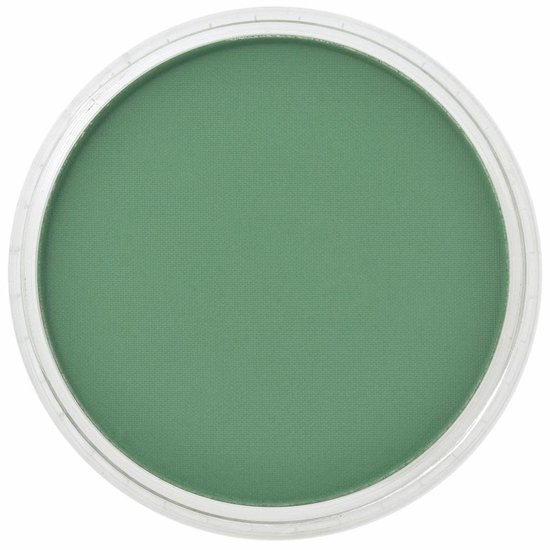 Panpastel PanPastel Permanent Green Shade