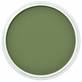 Panpastel PanPastel Chromium Oxide Green Shade