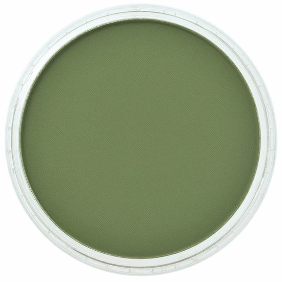 Panpastel PanPastel Chromium Oxide Green Shade