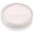 Panpastel PanPastel Paynes Grey Tint 2