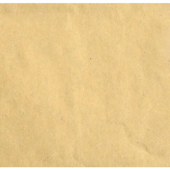 Florence Florence Cardstock Kraft Light Texture A4 216g