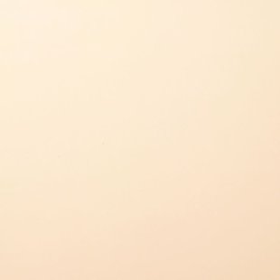 Florence Cardstock Raffia Smooth A4 216g