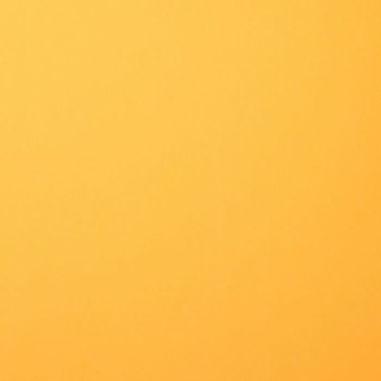 Florence Florence Cardstock Honey Smooth A4 216g