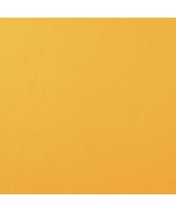 Florence Cardstock Bee Smooth A4 216g
