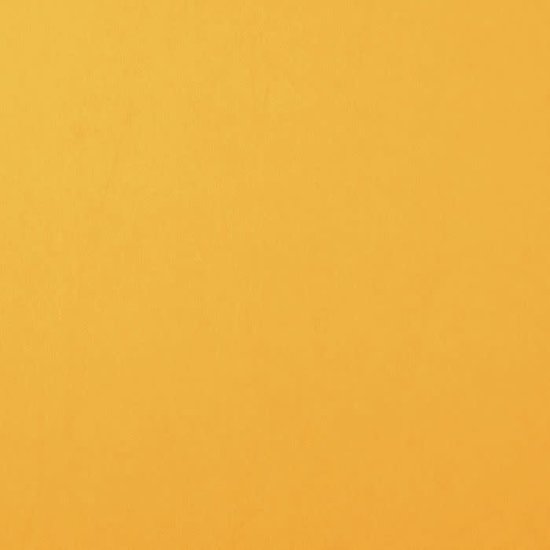 Florence Florence Cardstock Bee Smooth A4 216g