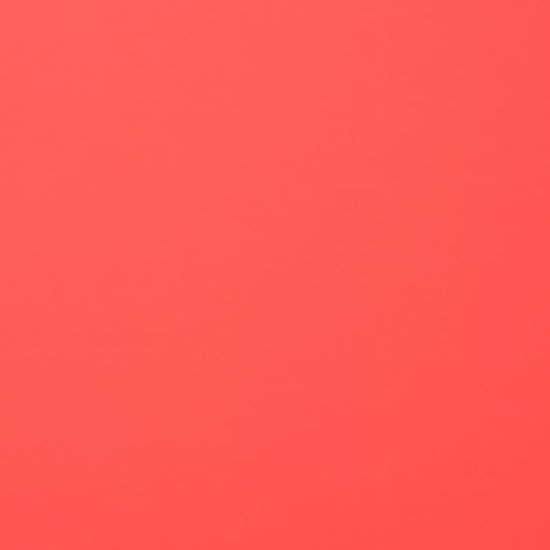 Florence Florence Cardstock Kiss Smooth A4 216g