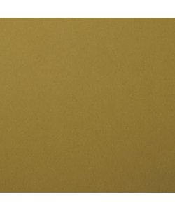 Florence Cardstock Acacia Smooth A4 216g