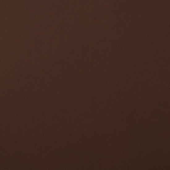 Florence Florence Cardstock Bear Smooth A4 216g