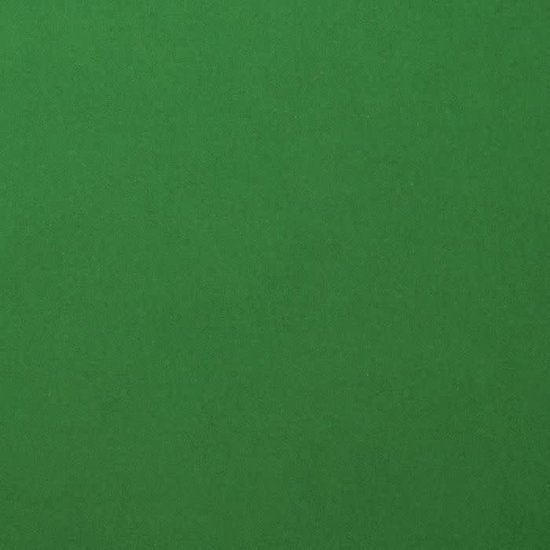 Florence Florence Cardstock Broccoli Smooth A4 216g