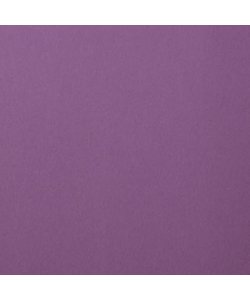 Florence Cardstock Clematis Smooth A4 216g